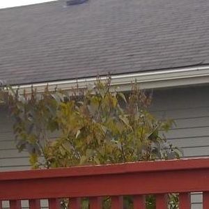 Meet your Posher, Santiago